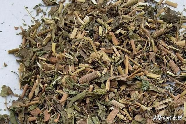 番瀉葉供應(yīng)，番瀉葉介紹？