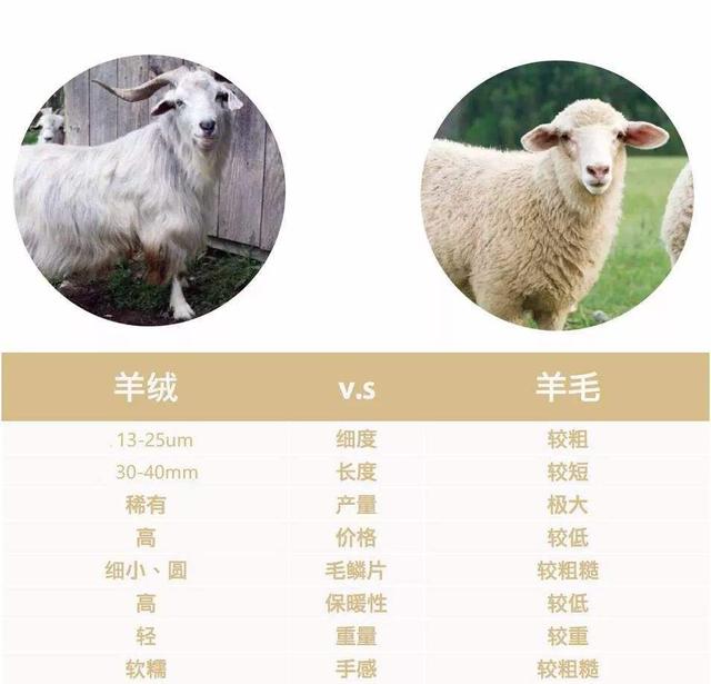 羊絨大廠家貨源微商推薦，羊絨大廠家貨源微商推薦圖片？