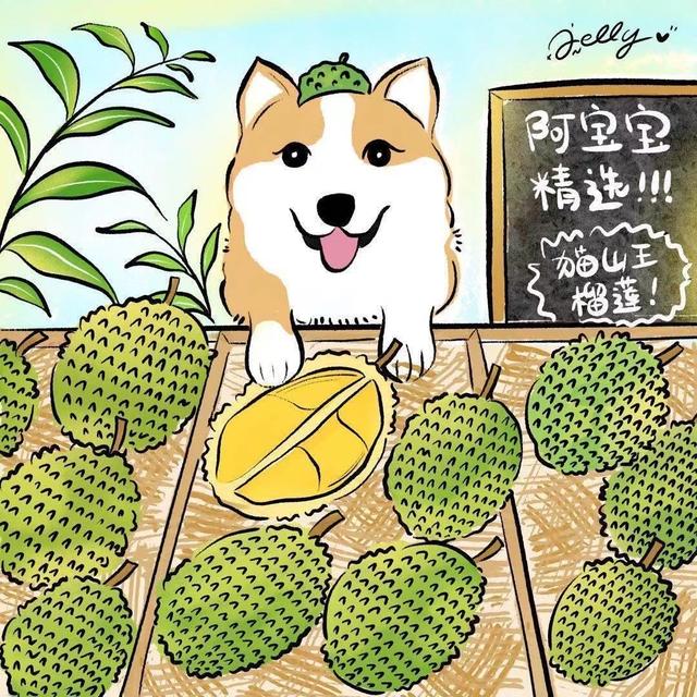 榴蓮交易所代理，榴蓮千層代理？