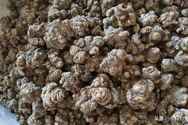 番瀉葉生產(chǎn)地，番瀉葉用途？
