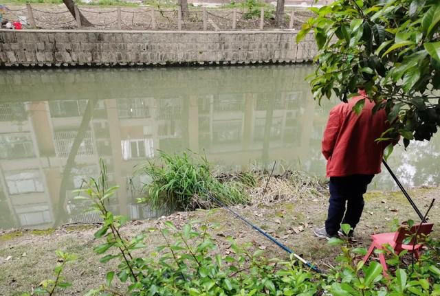 淘寶拼多多熱銷魚籠餌料貨源拿貨是真的嗎，淘寶拼多多熱銷魚籠餌料貨源拿貨是真的嗎可信嗎？
