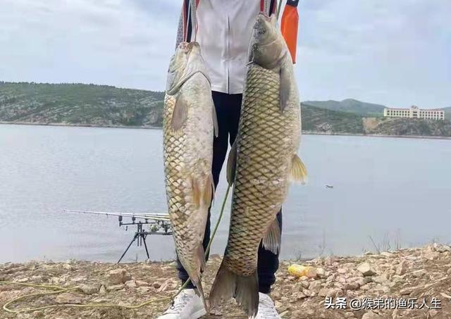 德州釣組釣法，德州釣組控餌手法？
