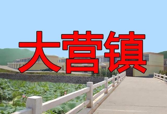 拼多多賣殯葬用品，拼多多拼棺材？