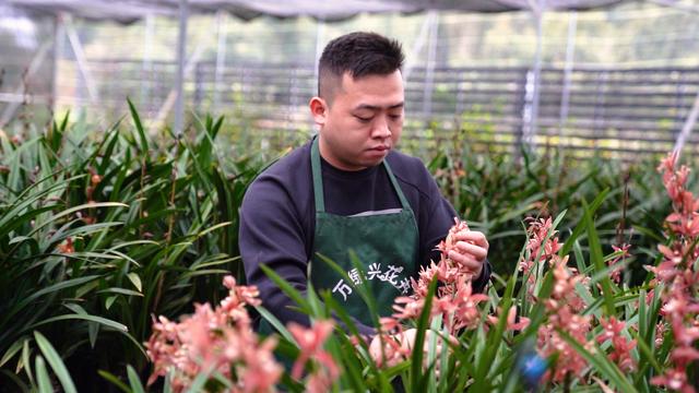 淘寶拼多多熱銷朝蘭貨源拿貨是真的嗎，淘寶拼多多熱銷朝蘭貨源拿貨是真的嗎安全嗎？