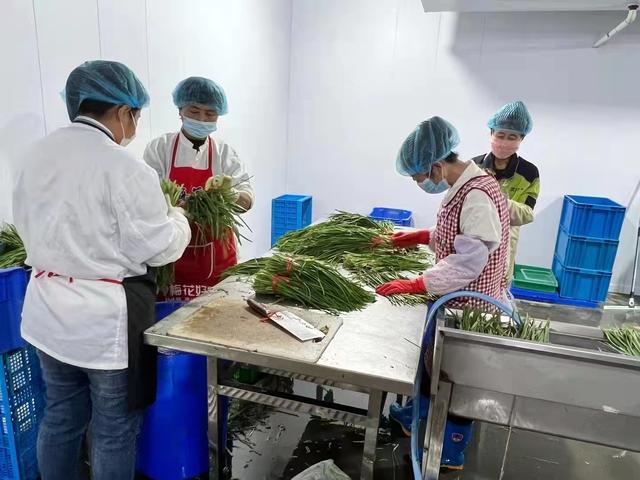 批發(fā)青菜生意從什么網(wǎng)上找貨源呢，做蔬菜批發(fā)怎么找貨源？
