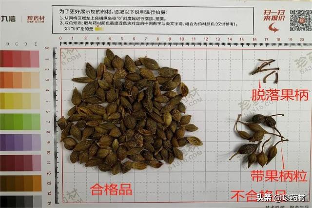 夏橙批發(fā)價格，夏橙批發(fā)價格多少？