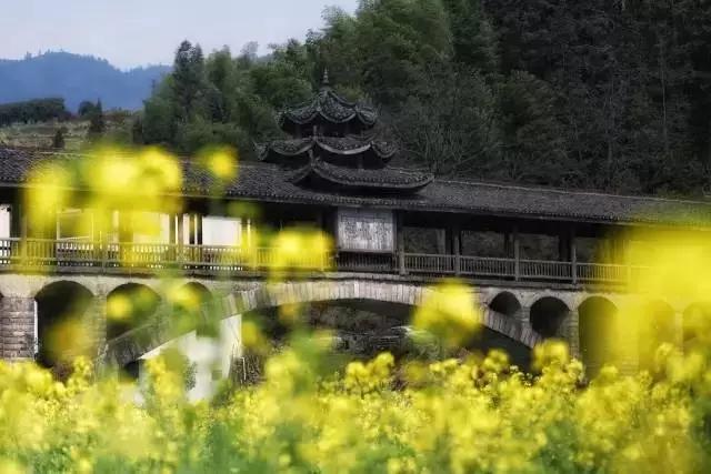 無貨源電商運(yùn)營模式，無貨源電商運(yùn)營模式有哪些？