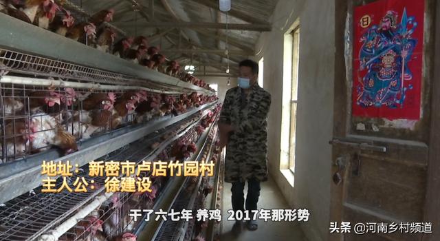 「學直播」小小雞蛋賣出三個億_報別人菜價賺自己的錢_新農(nóng)人帶貨有高招兒——五·一「田園夢之歌」之帶貨秘訣
