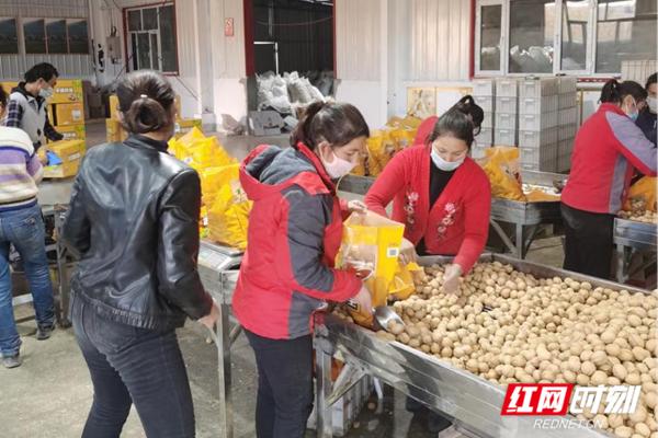 擺地攤貨源批發(fā)網(wǎng)站，擺地攤找貨源網(wǎng)站？