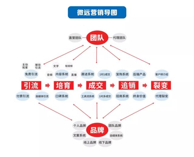 微商正規(guī)膏藥都有哪家，微商正規(guī)膏藥都有哪家店？