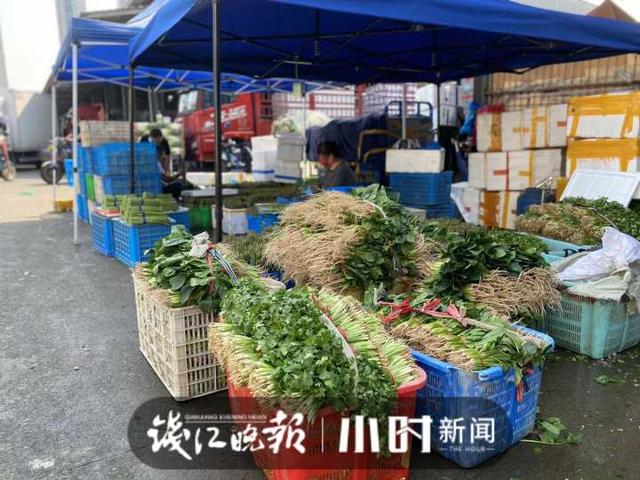 蔬菜貨源批發(fā)網(wǎng)站有哪些，蔬菜批發(fā)的網(wǎng)站？
