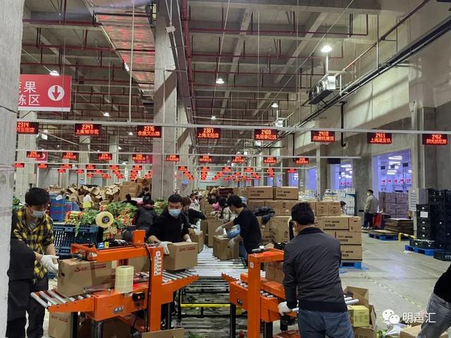 上海本地生鮮電商平臺有哪些，上海本地生鮮電商平臺有哪些品牌？