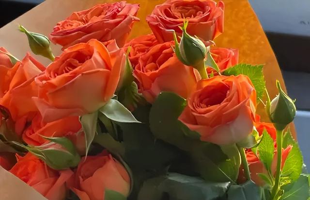 鮮花貨源在線批發(fā)采購(gòu)平臺(tái)，鮮花貨源在線批發(fā)采購(gòu)平臺(tái)有哪些？