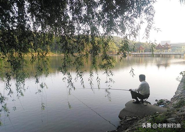 淘寶拼多多熱銷魚籠批發(fā)貨源拿貨是真的嗎，淘寶拼多多熱銷魚籠批發(fā)貨源拿貨是真的嗎安全嗎？
