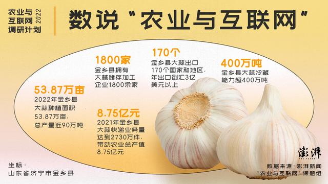 求購大蒜種子哪里有賣的，大蒜種子哪里可以買到？