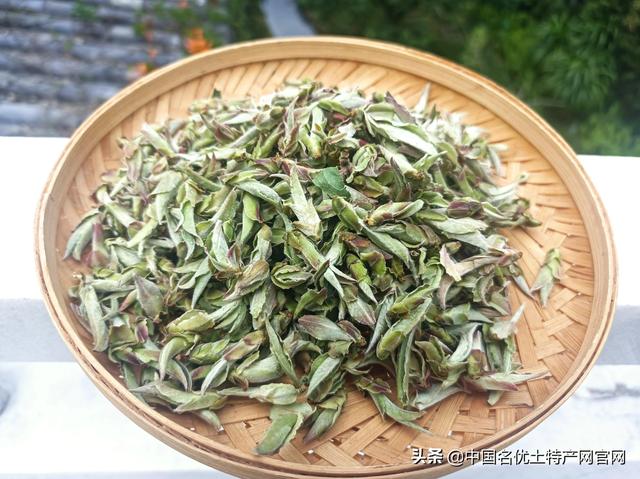 網(wǎng)紅時代消退？云南千萬個帶貨主播何去何從？