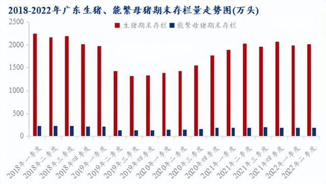 被玩壞的生豬行業(yè)_摸不透的廣東市場？
