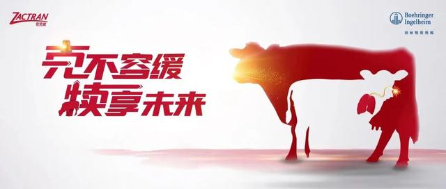 淘寶拼多多熱銷犢牛服貨源拿貨是真的嗎，淘寶拼多多熱銷犢牛服貨源拿貨是真的嗎安全嗎？
