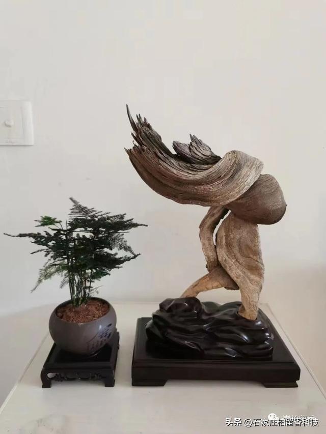 仙游手串京東貨源批發(fā)價(jià)多少，仙游手串京東貨源批發(fā)價(jià)多少錢？