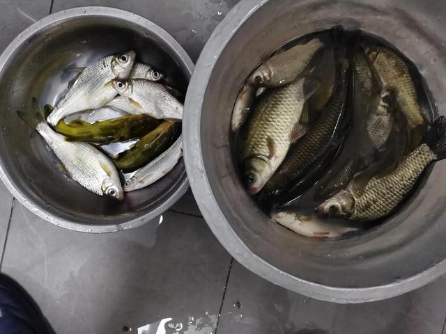 拼多多買魚鉤，拼多多買魚鉤怎么這么便宜？