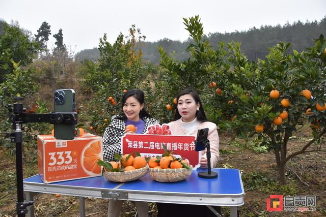 四川年貨直播電商貨源網(wǎng)，四川年貨直播電商貨源網(wǎng)站？