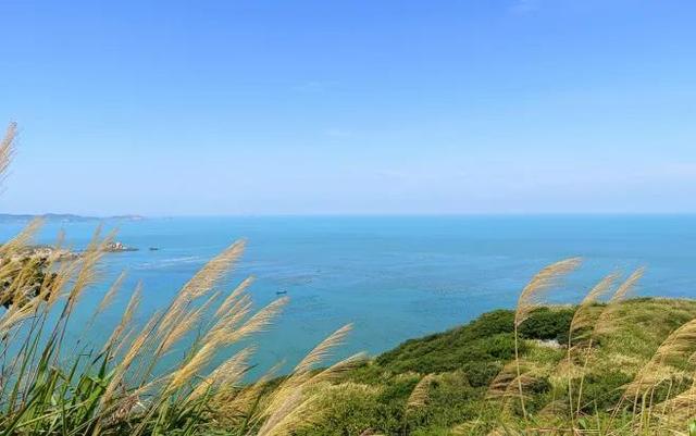 嵊泗海鮮干貨市場(chǎng)，嵊泗海鮮有哪些？