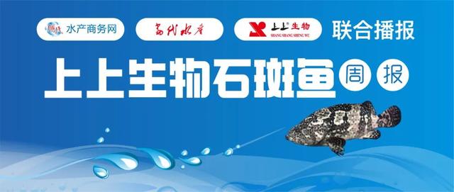 龍石斑魚價格表，龍石斑魚價格表圖片？