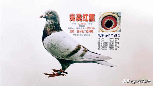 拼多多買的狗疫苗真的假的，拼多多上的疫苗是真的嗎？