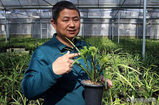 淘寶如何找花卉基地貨源呢，淘寶如何找花卉基地貨源呢圖片？