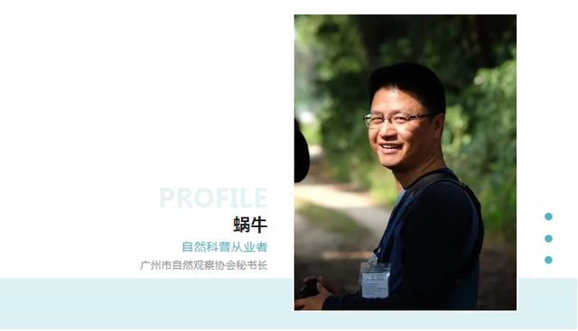 淘寶拼多多熱銷觀鳥器貨源拿貨是真的嗎，淘寶拼多多熱銷觀鳥器貨源拿貨是真的嗎安全嗎？