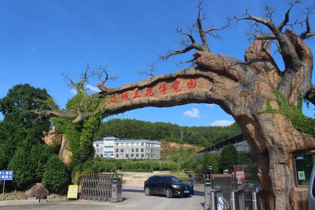 淘寶拼多多熱銷中國黨旗貨源拿貨是真的嗎，？