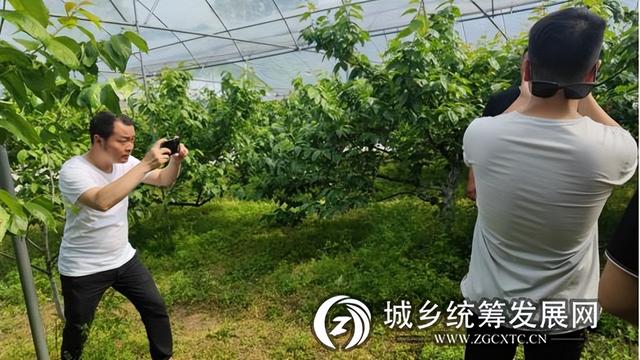 重慶做電商貨源的公司排名，重慶電商公司有哪些？