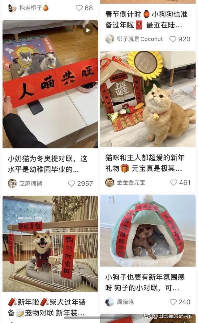拼多多生鮮貨源，拼多多生鮮貨源怎么找？