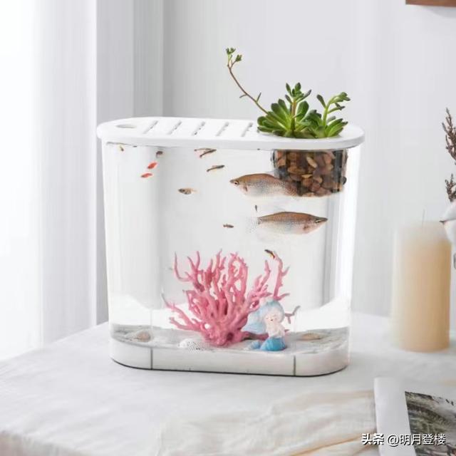 淘寶拼多多熱銷魚缸帶柜貨源拿貨是真的嗎，淘寶拼多多熱銷魚缸帶柜貨源拿貨是真的嗎安全嗎？
