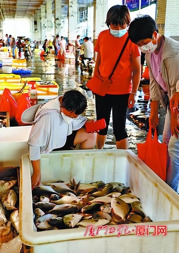 目魚批發(fā)價格，目魚批發(fā)價格表？