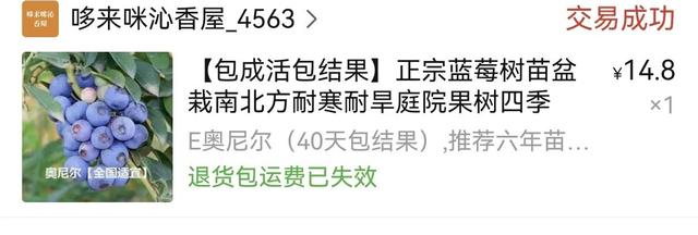 淘寶拼多多熱銷綠植設(shè)計(jì)貨源拿貨是真的嗎可信嗎，拼多多賣綠植？