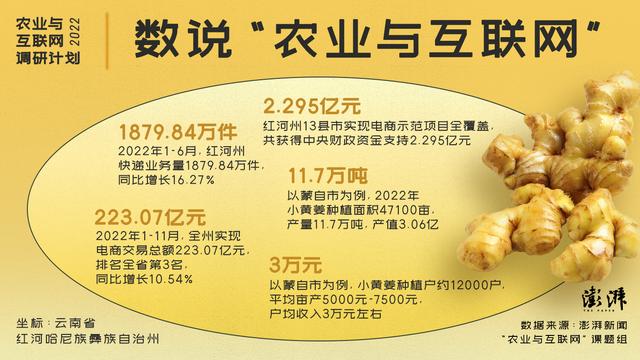 淘寶拼多多熱銷姜貨源拿貨是真的嗎，淘寶拼多多熱銷姜貨源拿貨是真的嗎安全嗎？